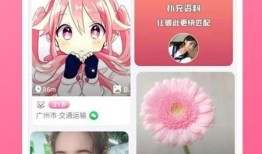 最新军需爆料视频下载安装,视频下载安装全攻略